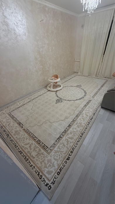 Ковер чистый 2,5 х 5 м