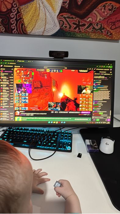 Zowie Benq 240hz