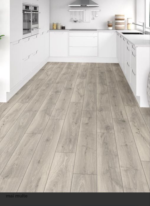 Montaj parchet si usi