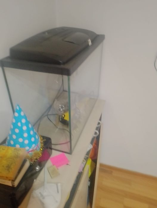 Agvariu cu lumina ponpa