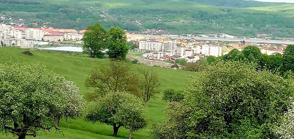 De vanzare teren intravilan 1000 mp - zona de exceptie