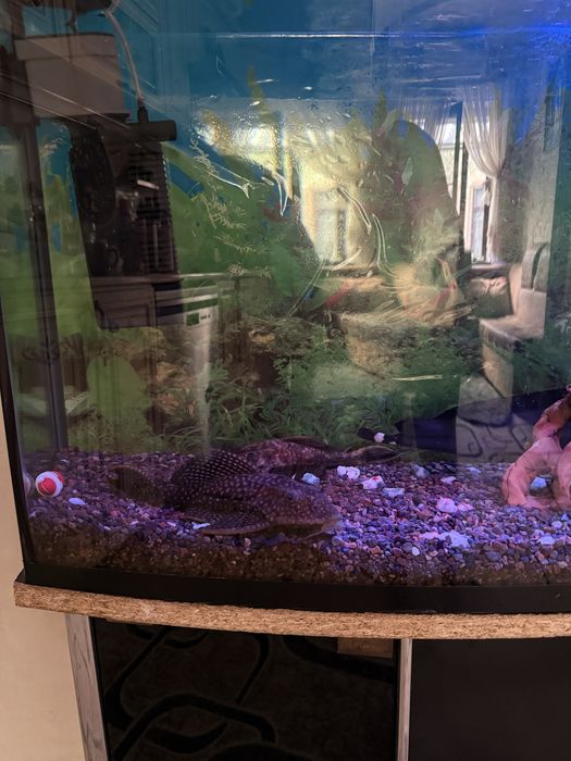 Продам аквариум