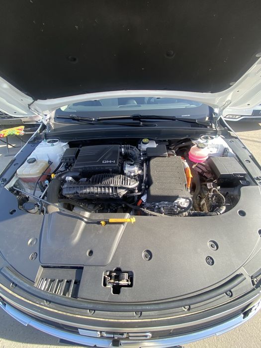 chazor 1 paz 55 tali tozza