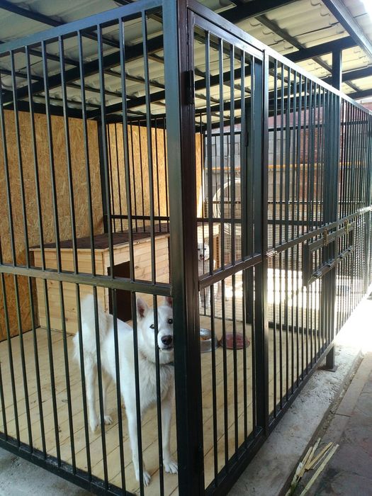 Вольер для собак клетка дом сварщик