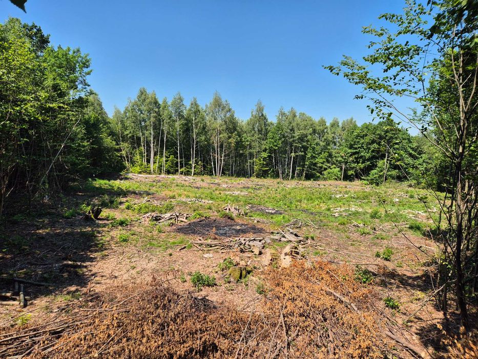 Teren intravilan de vanzare 3700m²