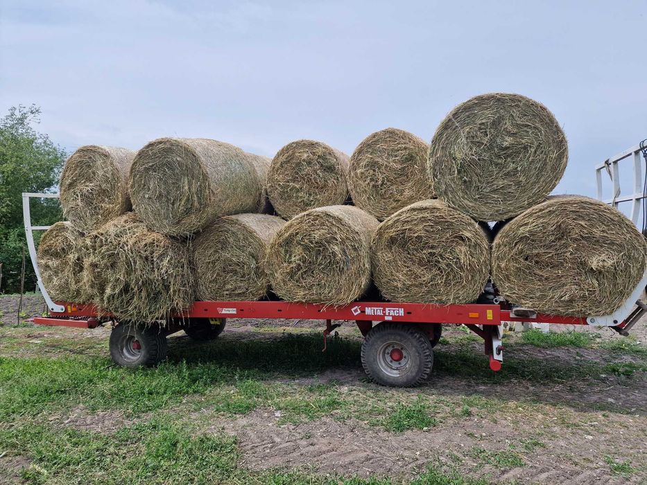 Vând lucernă ecologică – Coasa I