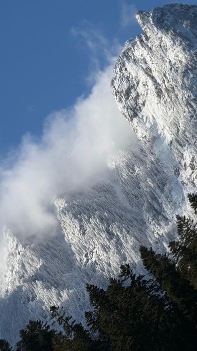 Apartament de vanzare