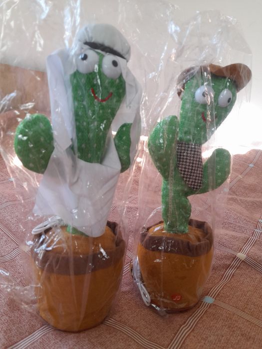 Cactus de vânzare