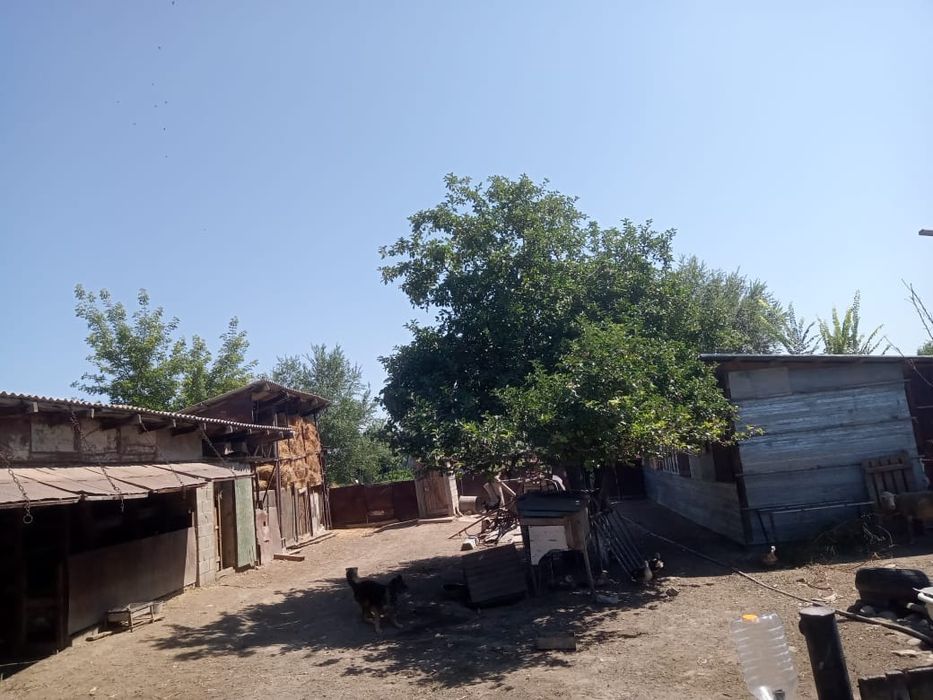 Продам дом с большим участком