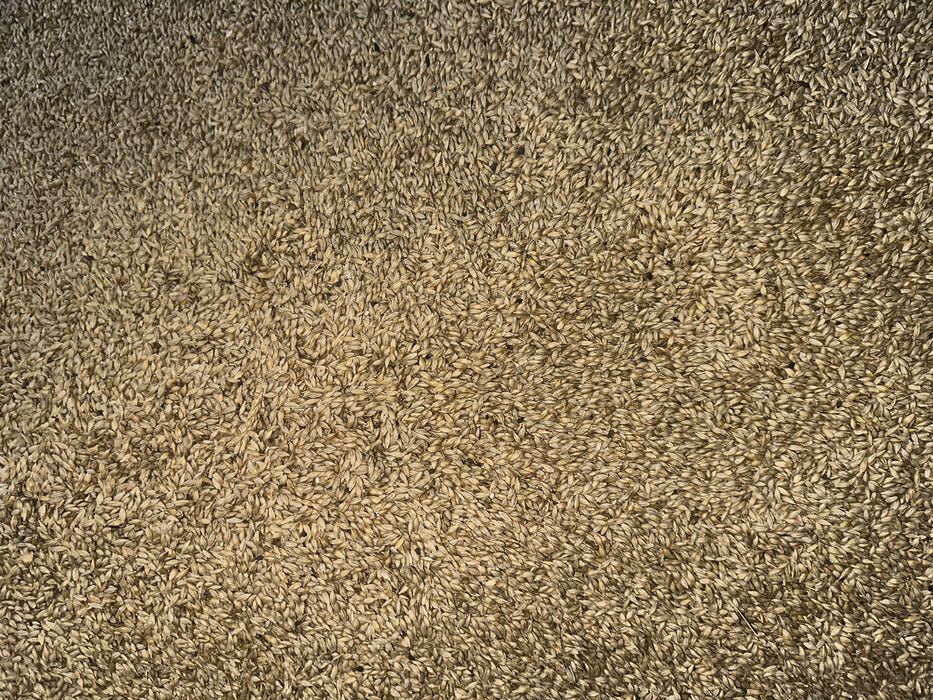 Ячмень,хорошего качества