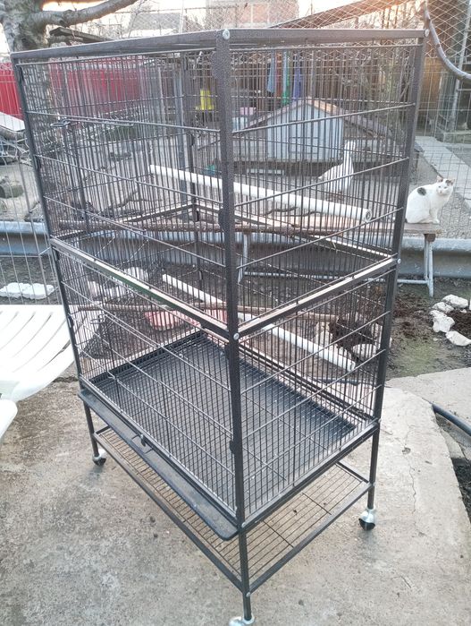 Colivie voliera cușcă papagali