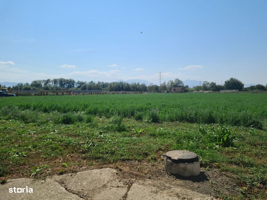 Teren  ingradit cu utilitati trase in fata terenului!