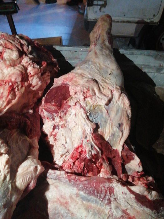 Мясо говядина молодняк