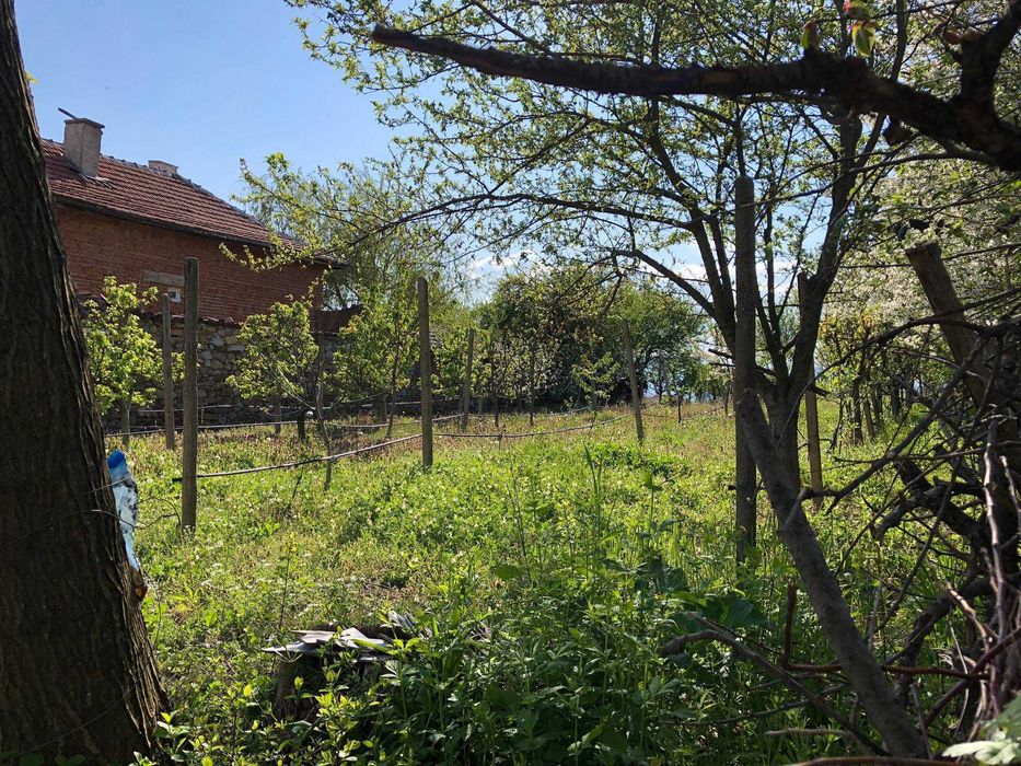 Продава се Парцел в с. Анево, Област Пловдив - 4000 кв.м за 4 €/кв.м - Снимка #6