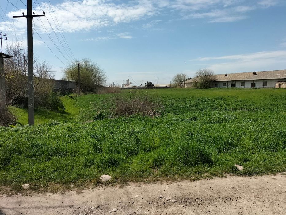 10 га Новый Ташкент