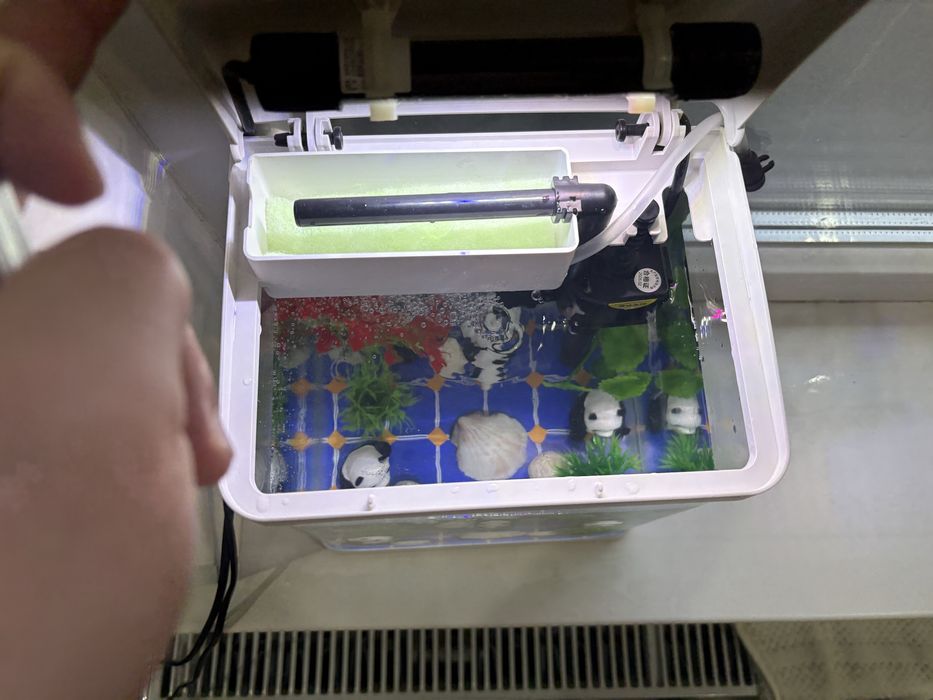 Аквариум для маленьких рыб