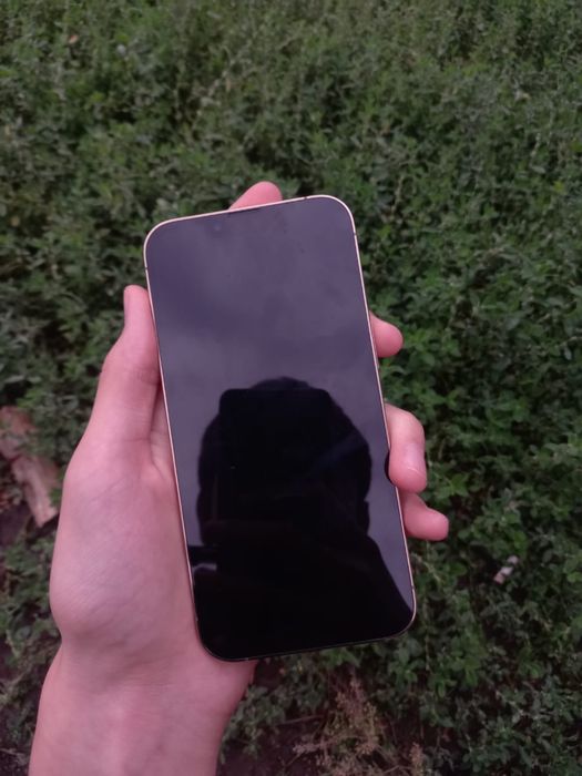 iphone 13 pro 256 gold