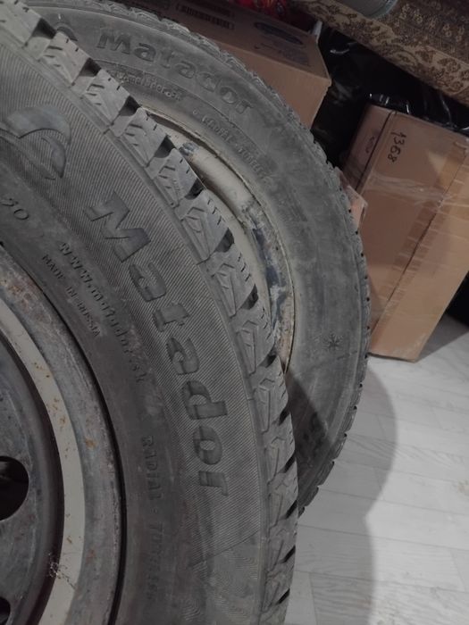 Зимний шини мотодор