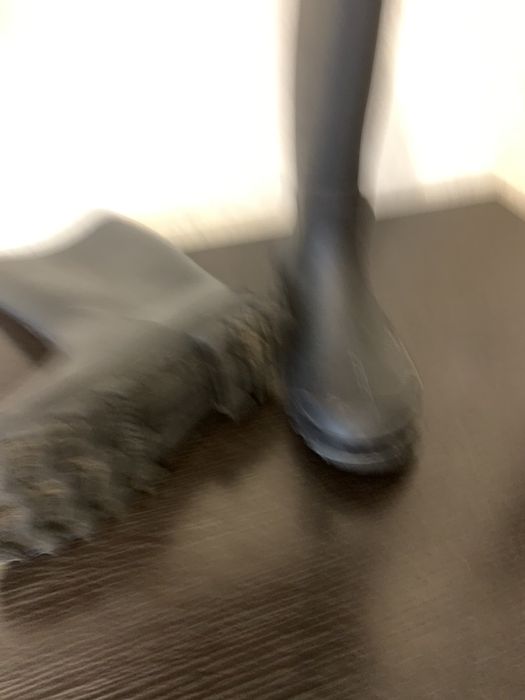 Резиновые сапоги