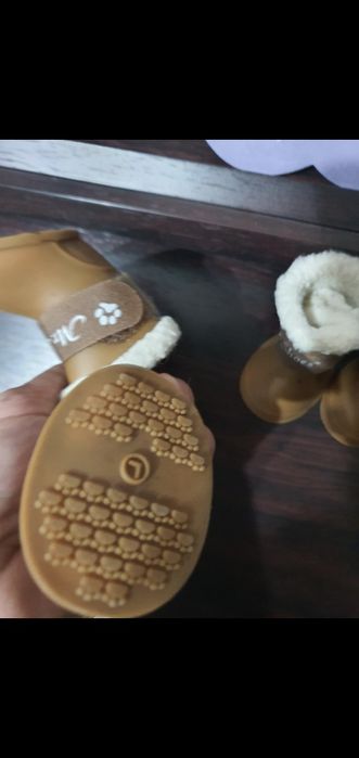 Обувь для собак мелких пород