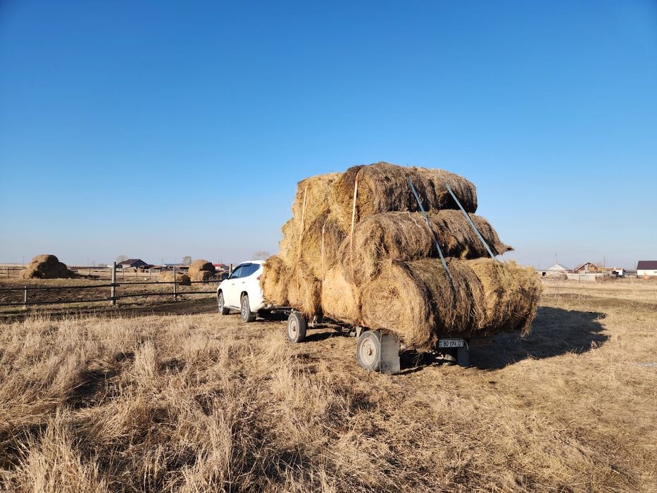 Сено косшы шоп косшы