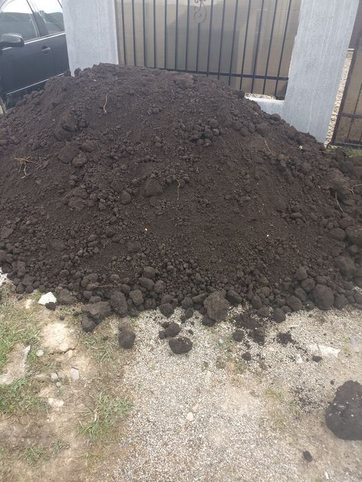 Pamant , pamant vegetal negru