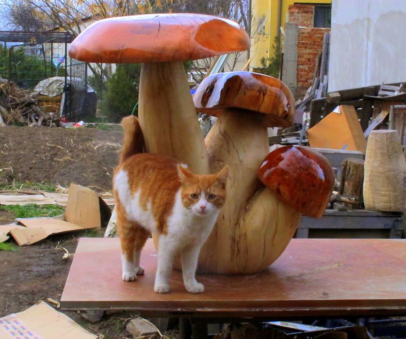 Гъби от дърво , ръчна изработка , дървени гъбки - декорация за дома