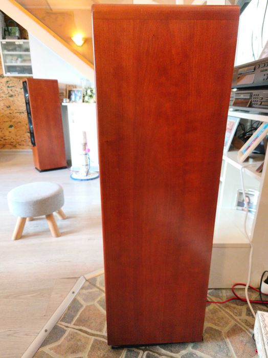 High-End Canton Ergo RC-S – Като нови, Първи собственик, Real Wood