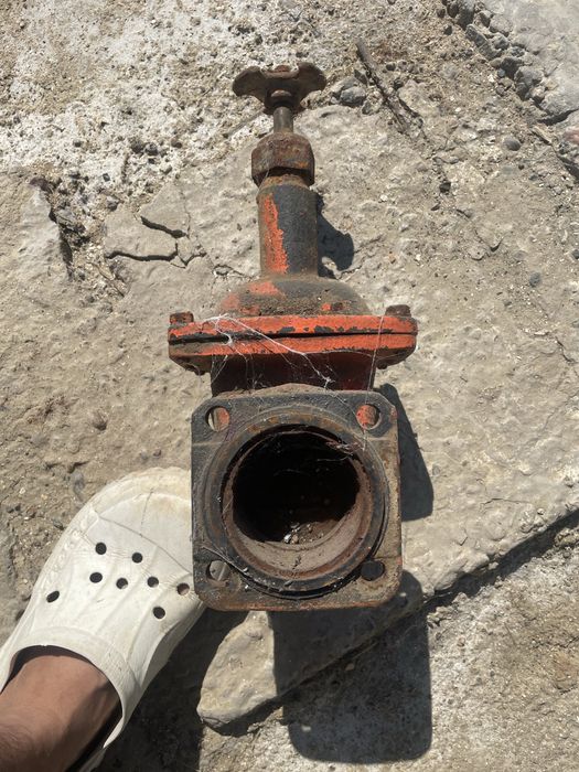 Шланка,задаишка.