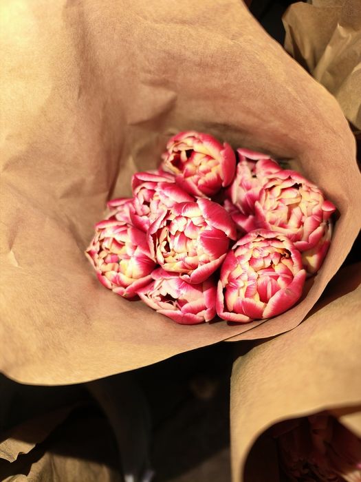 тюльпаны акция! От 140 до 400тг