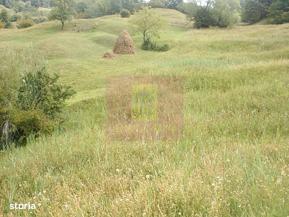Teren extravilan de vanzare in Telega