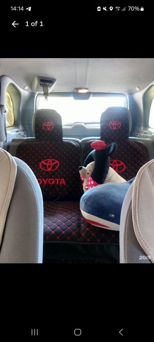 автоняня от двери до двери с опытом