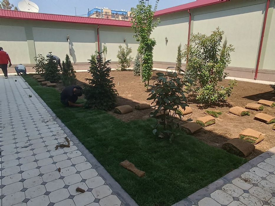 Gazon lanshaft qilamiz