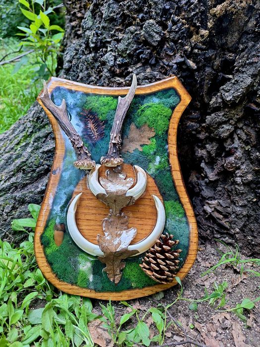 Panoplie rasina - trofeu cerb, coarne, capra neagra, mistret, caprior