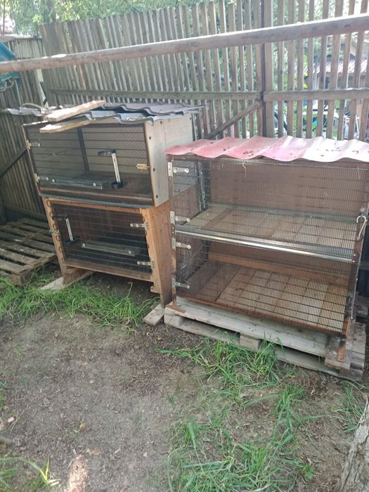 Cuști pentru iepuri sau păsări