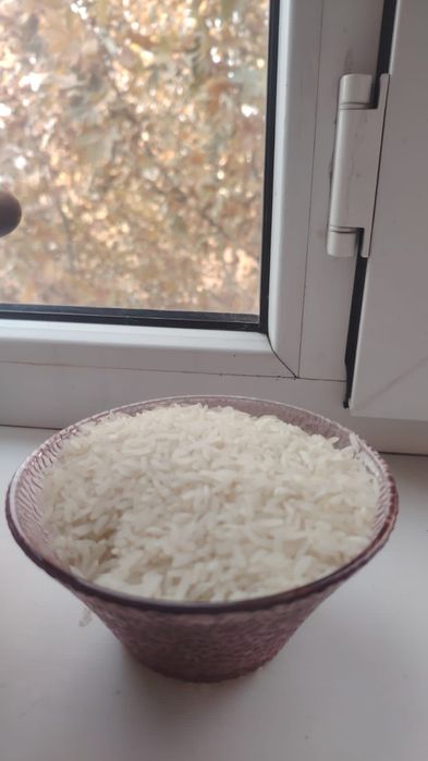 Күріш лазер /Рис лазер