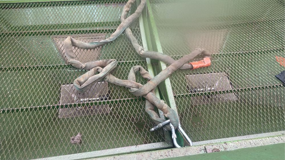 Distribuitor Ingraseminte Amazone   ZAM Premis  2000 kg