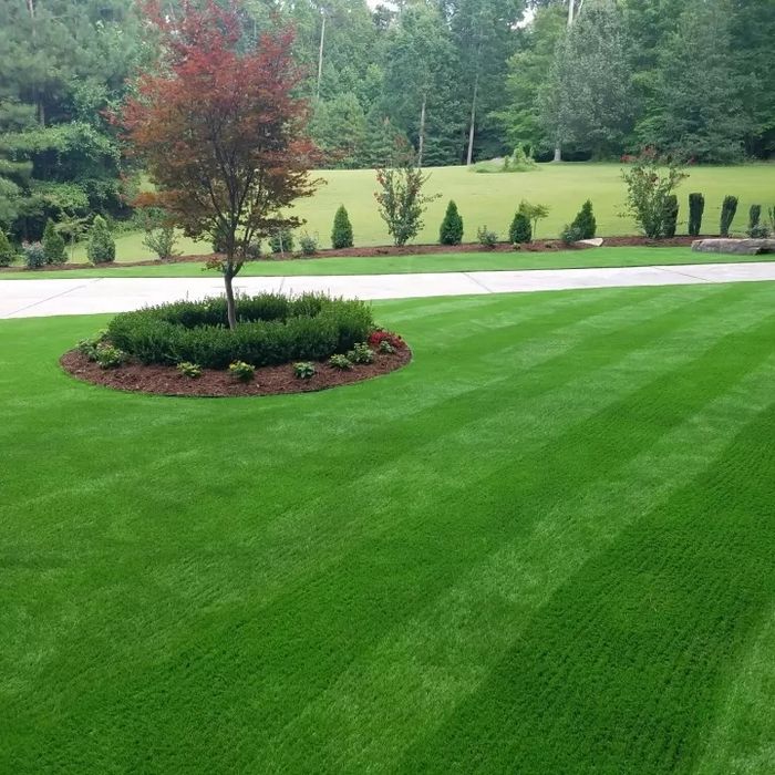 Spații verzi, amenajare, întreținere, sisteme irigații