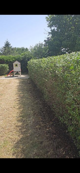 Gazon, Automatizare Sisteme de irigat, Scarificare, Mentenanță