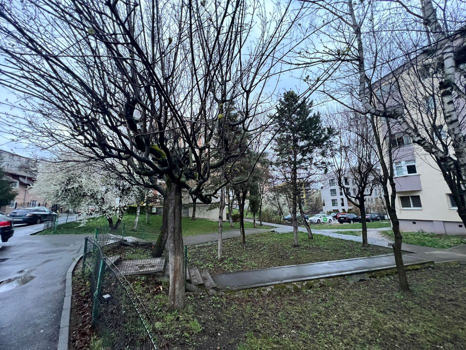 Vand garsoniera, Manastur / Calvaria