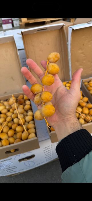 Финики, курма, опт и в розницу