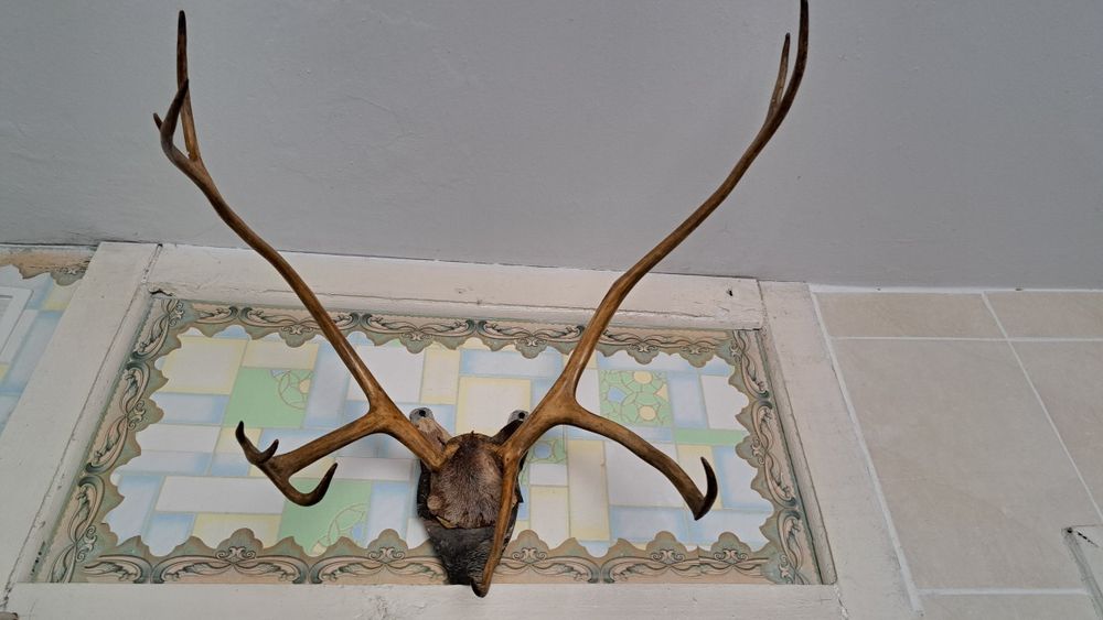 Сувениры из СССР   разные  !