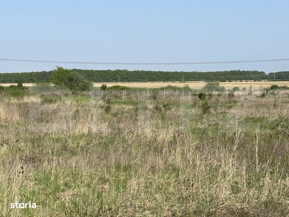 Teren intravilan,  500/900mp, zona Grigorescu 2