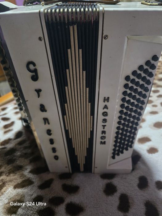 Acordeon  de vânzare