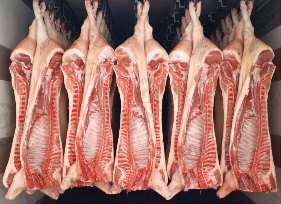 свинина полутушки