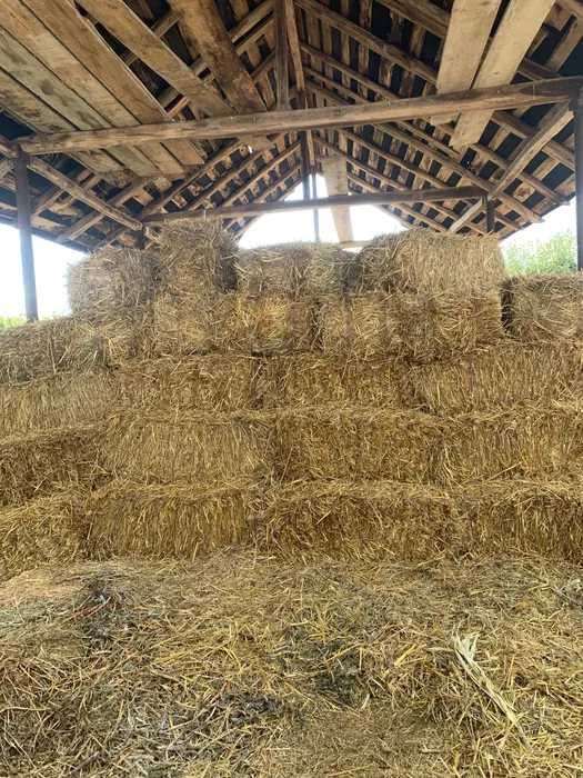 Vand baloti de lucerna, ovaz cosit si maturi