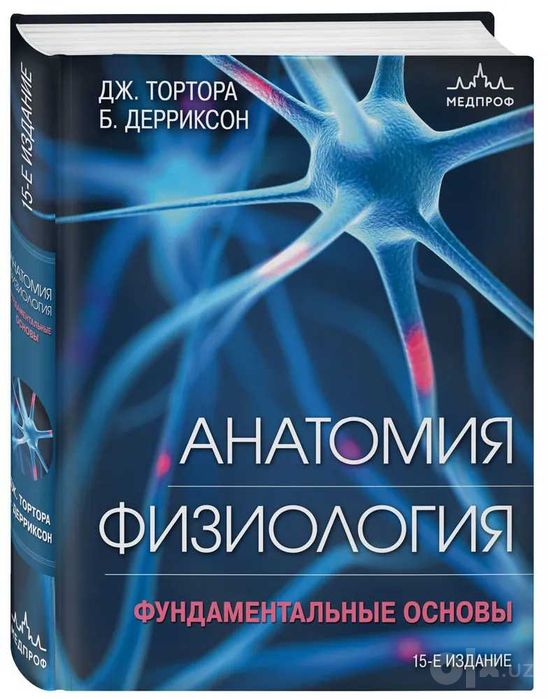 Оргинал Анатомия. Физиология. Фундаментальные основы. 15-е издание