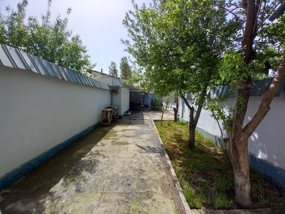 Zangiota tumani.Qorasev 6 toshturmadan ôtgandan keyingi kôcha.