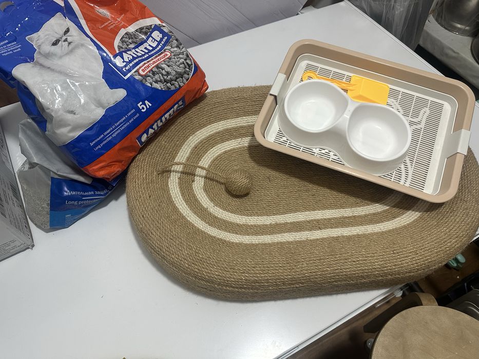 Когтеточка, лежанка