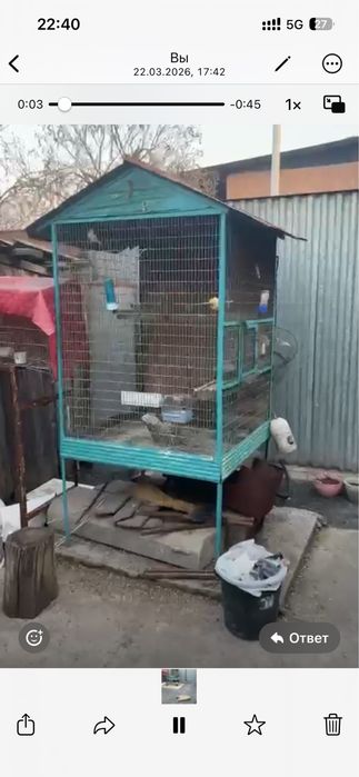 Продам птичий Валер